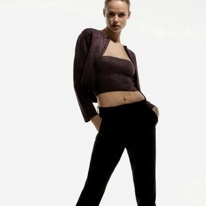 Zara Shimmery Knit Cardigan